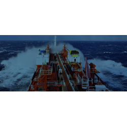 Martek Marine Navgard BNWAS